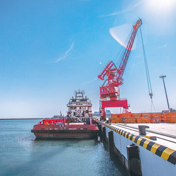 �����к������崬������