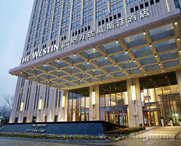 �������Ƶ�