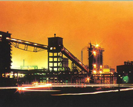 ���ָ���