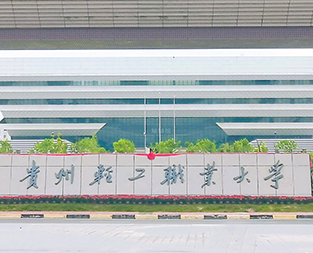 �����Ṥְҵ��ѧ