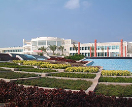 �½���������