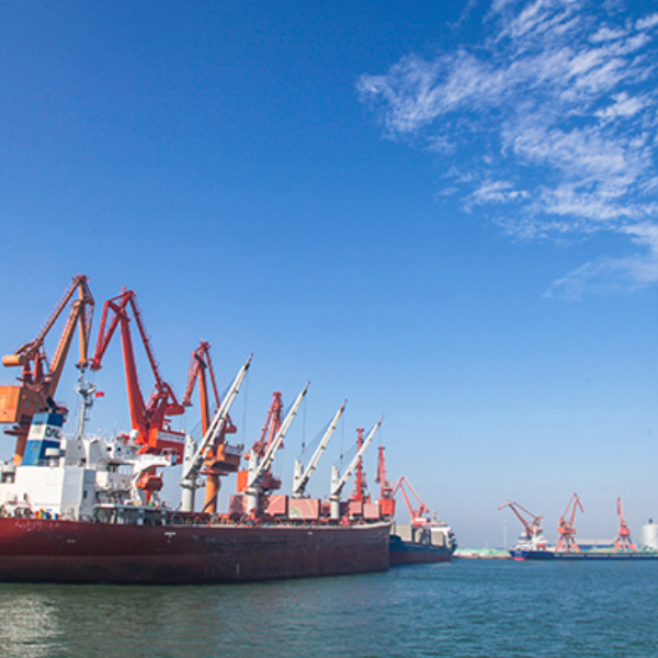 ɽ��������