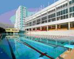 �Ĵ���֦����������