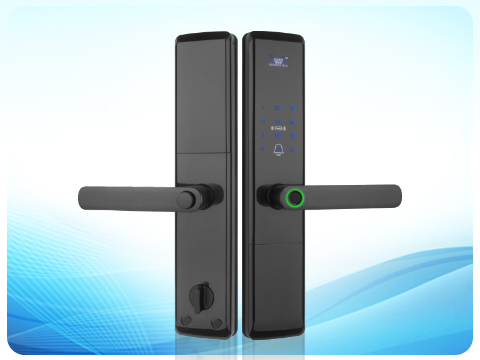 Lora����ָ������