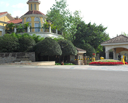 ����׿����